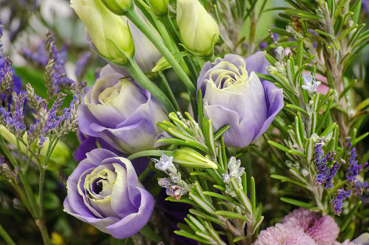 mariee-atelier-floral-ramo-de-autor-portada-color-floristeria-Valencia-regalos