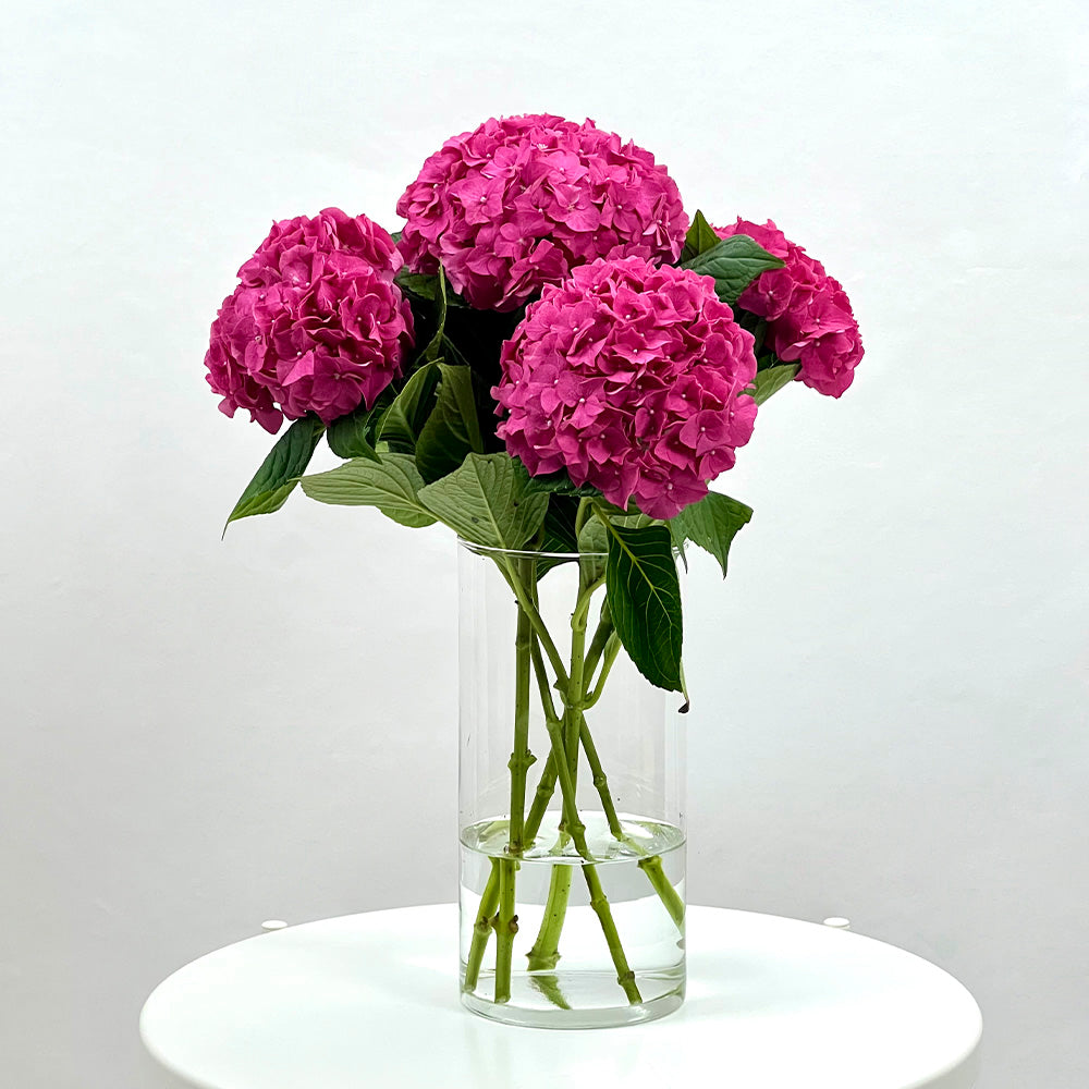 Mariée Atelier Floral Ramo de flores Ramo de flores hortensias a domicilio Floristería Valencia regalos gift flowers blumen geschenk bouquet