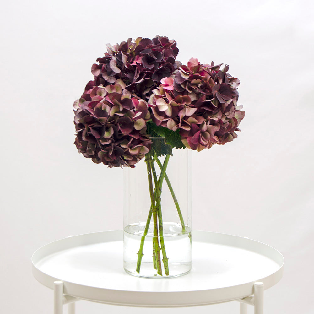 Mariée Atelier Floral Ramo de flores Ramo de flores hortensias a domicilio Floristería Valencia regalos gift flowers blumen geschenk bouquet