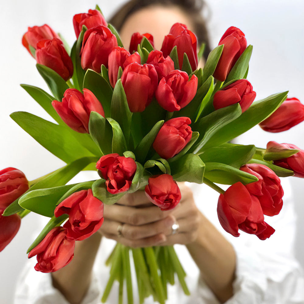 Floristería Mariée Atelier Floral Ramo de tulipanes rojos Valencia regalos gift flowers blumen geschenk bouquet