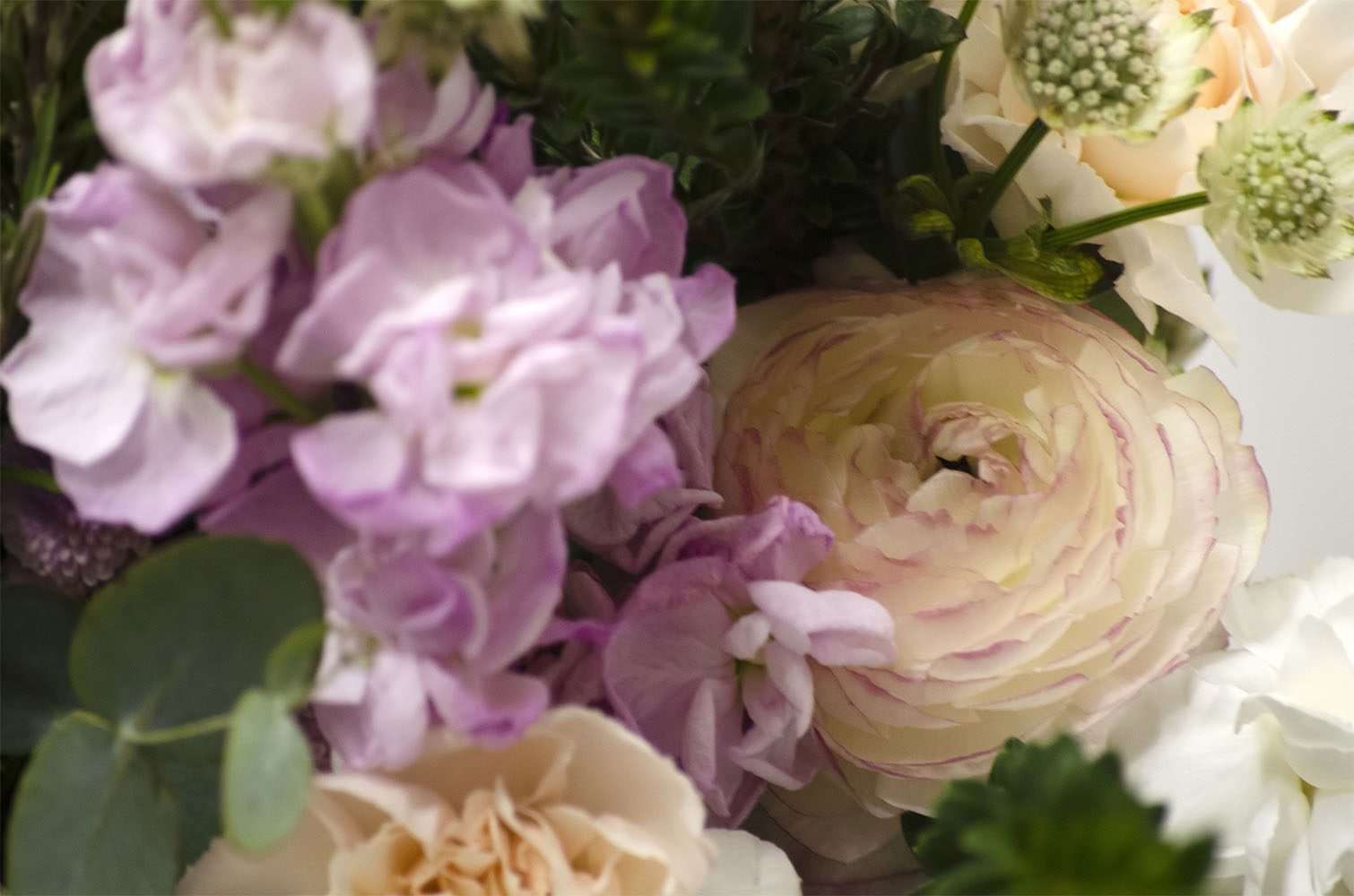 mariee-atelier-floral-ramo-de-autor-portada-color-floristeria-Valencia-regalos