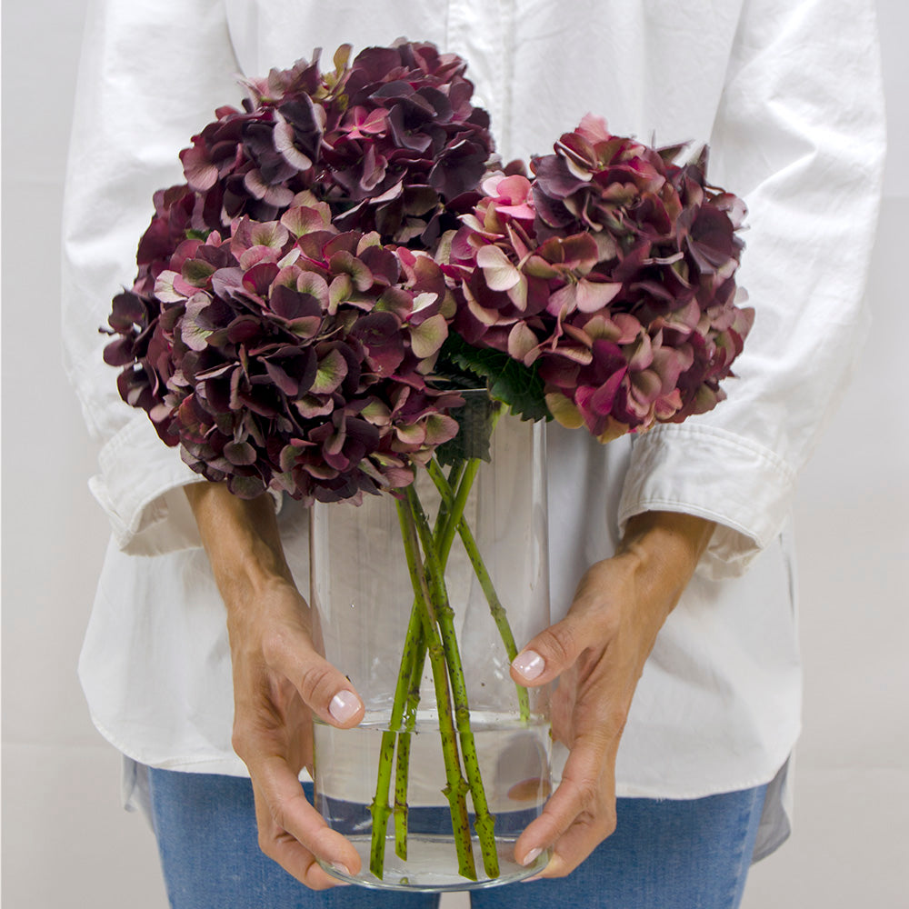Mariée Atelier Floral Ramo de flores Ramo de flores hortensias  a domicilio Floristería Valencia regalos gift flowers blumen geschenk bouquet